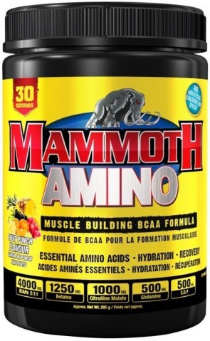 Mammoth Amino