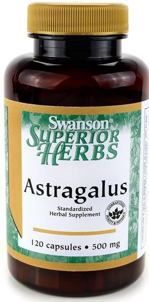 Astragalus, 500mg - 120 caps